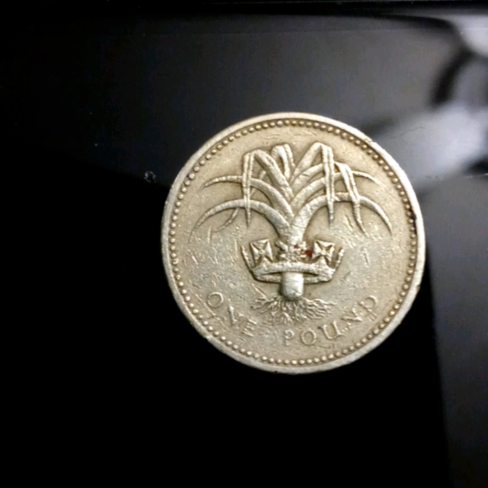 1985 £1 One Pound Coin Welsh Leek Brilliant
